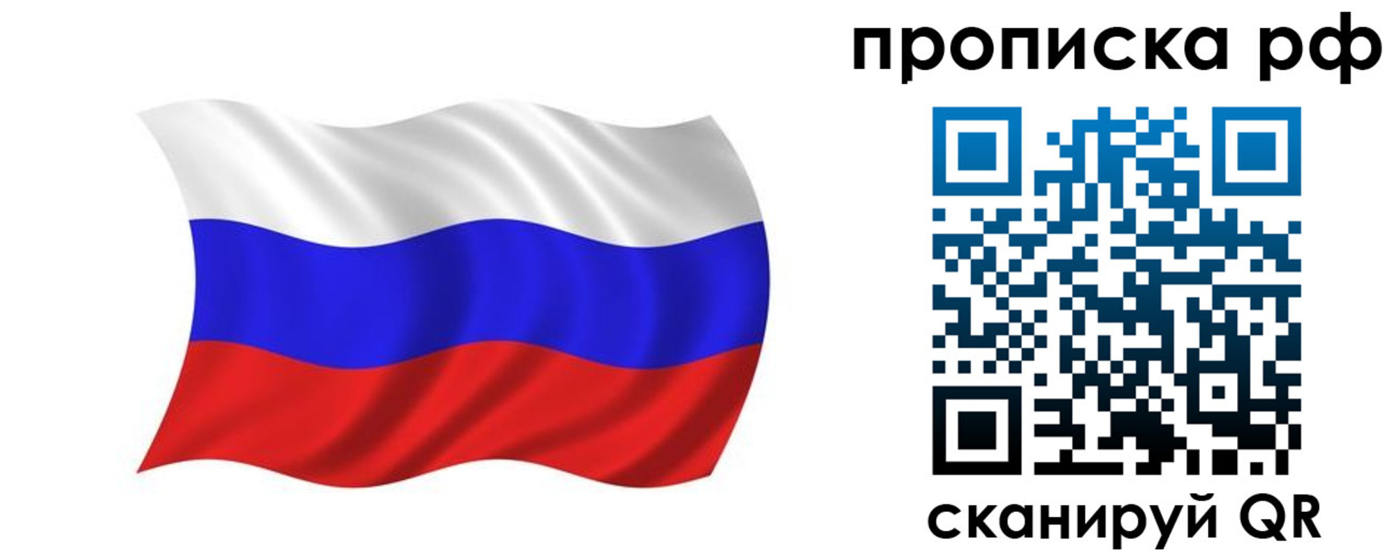 прописка поиск в Курской области